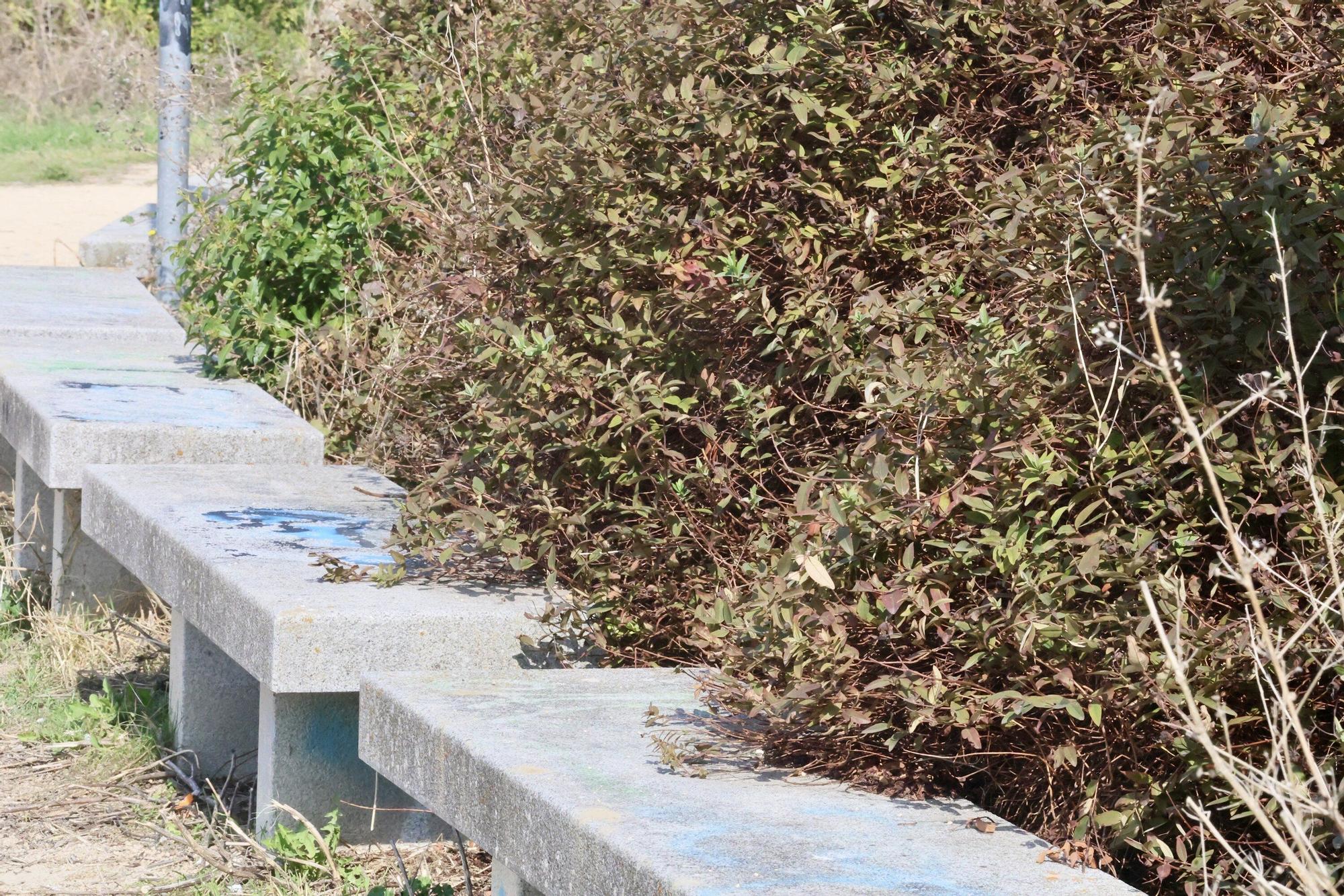 En imágenes: Vitoria-Gasteiz se prepara para adecentar el verde de la ciudad