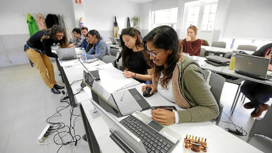 La universidad vasca tendrá más de veinte titulaciones en dual