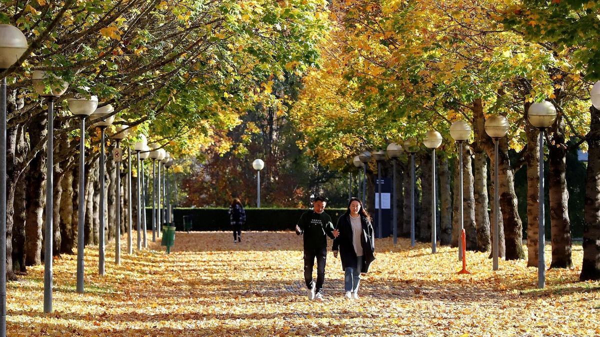 Dos personas pasean por el campus de la UPNA en un día de otoño.