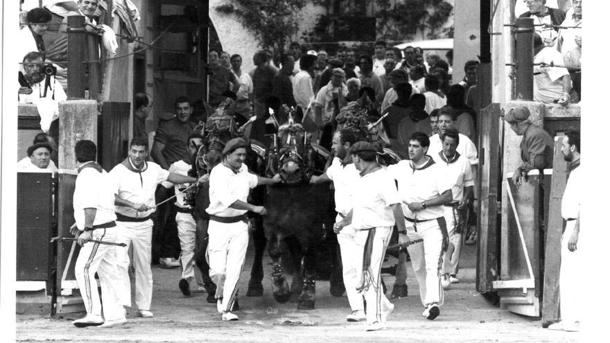 El desfile de mulillas en San Fermín: una tradición antes de la corrida de toros