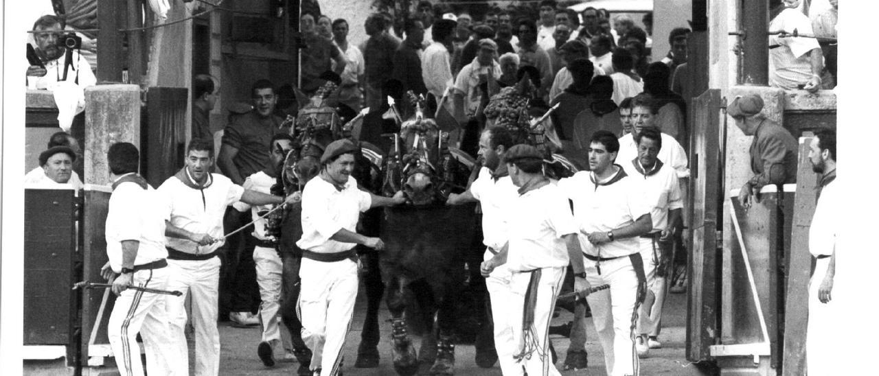 El desfile de mulillas en San Fermín: una tradición antes de la corrida de toros