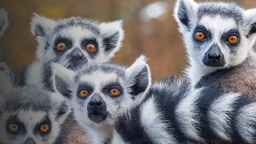 El plan que nunca falla en Semana Santa para pasar un día inolvidable en familia