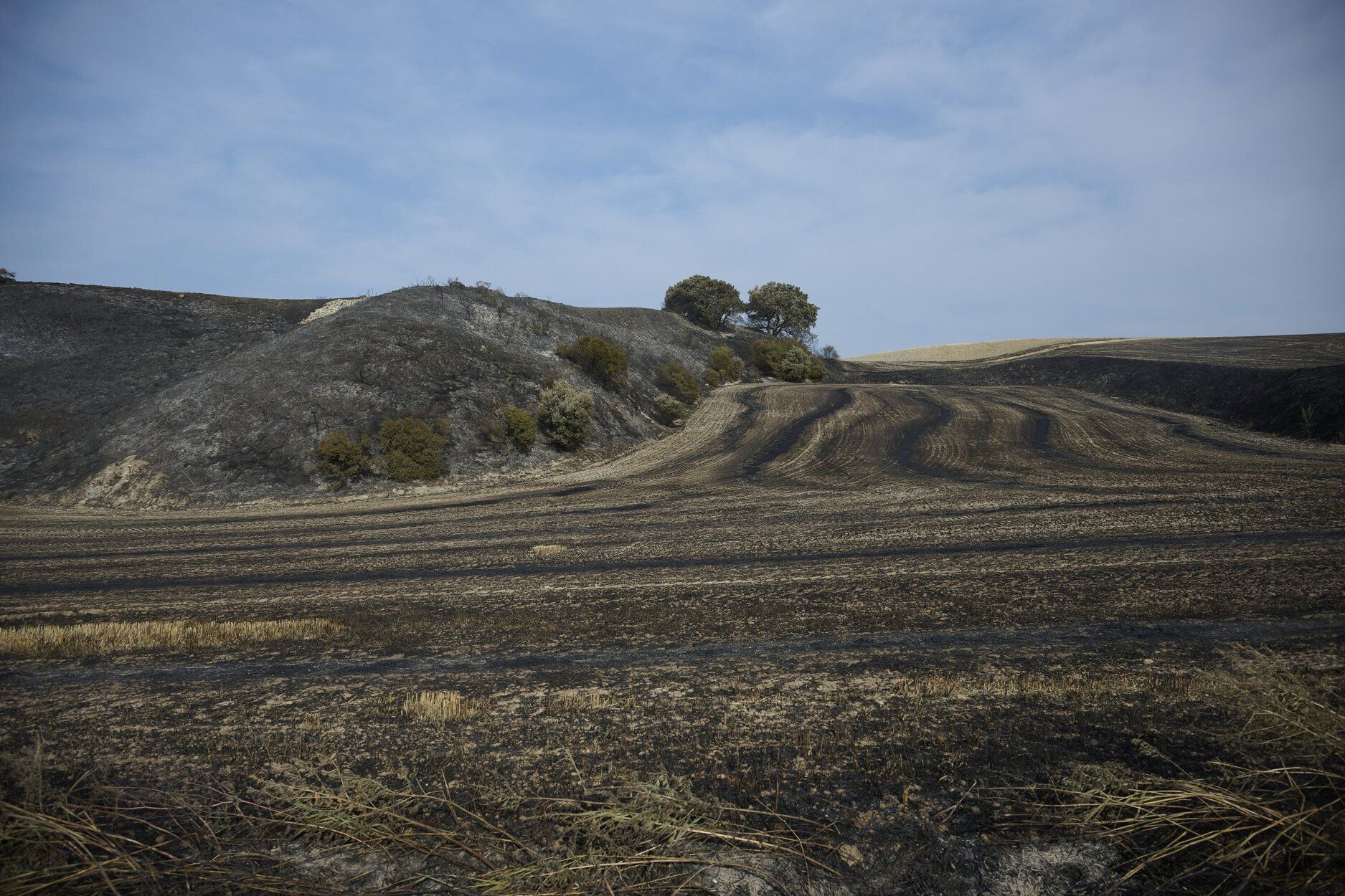 Imágenes de la zona afectada por el incendio en Enériz