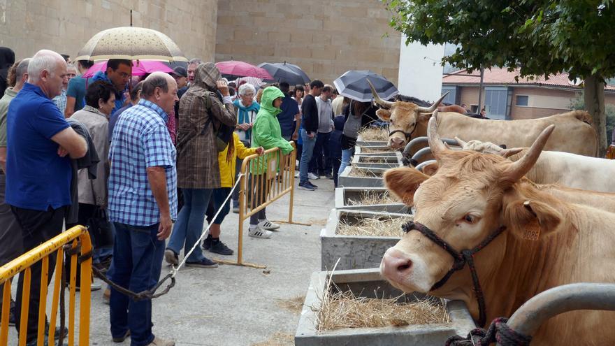 Ganado autóctono, producto local y artesanía el domingo en la feria de Irurtzun y Arakil