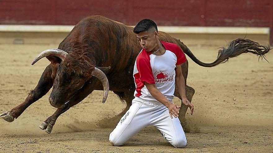 Trinfos de Chemi Suárez y de Navarra en el concurso de recortadores de Tafalla