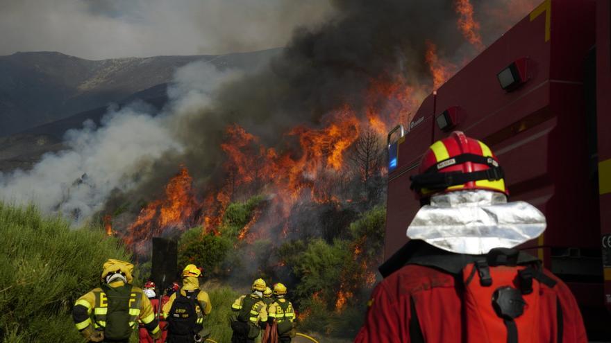 Récord histórico de superficie quemada: 350.000 hectáreas