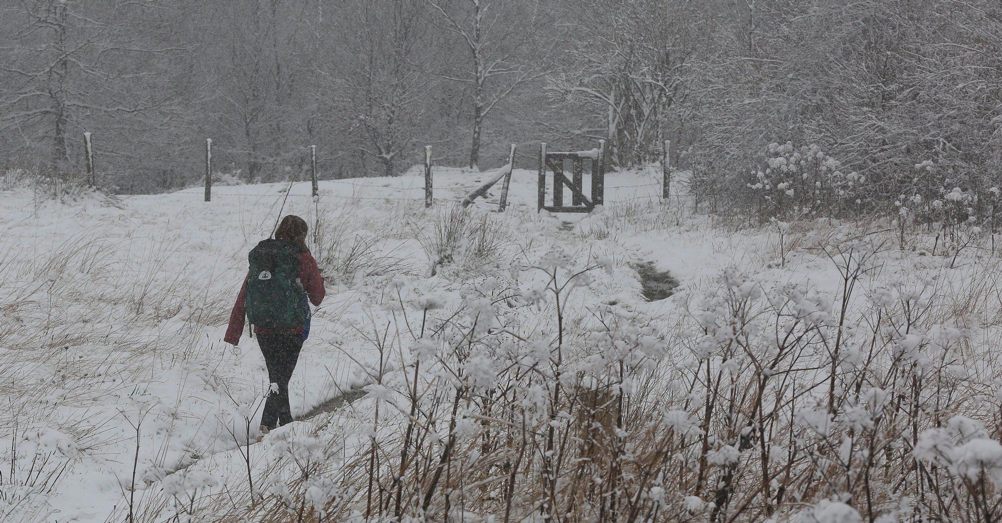 Fotos de la nieve en Navarra (20 de noviembre de 2025)