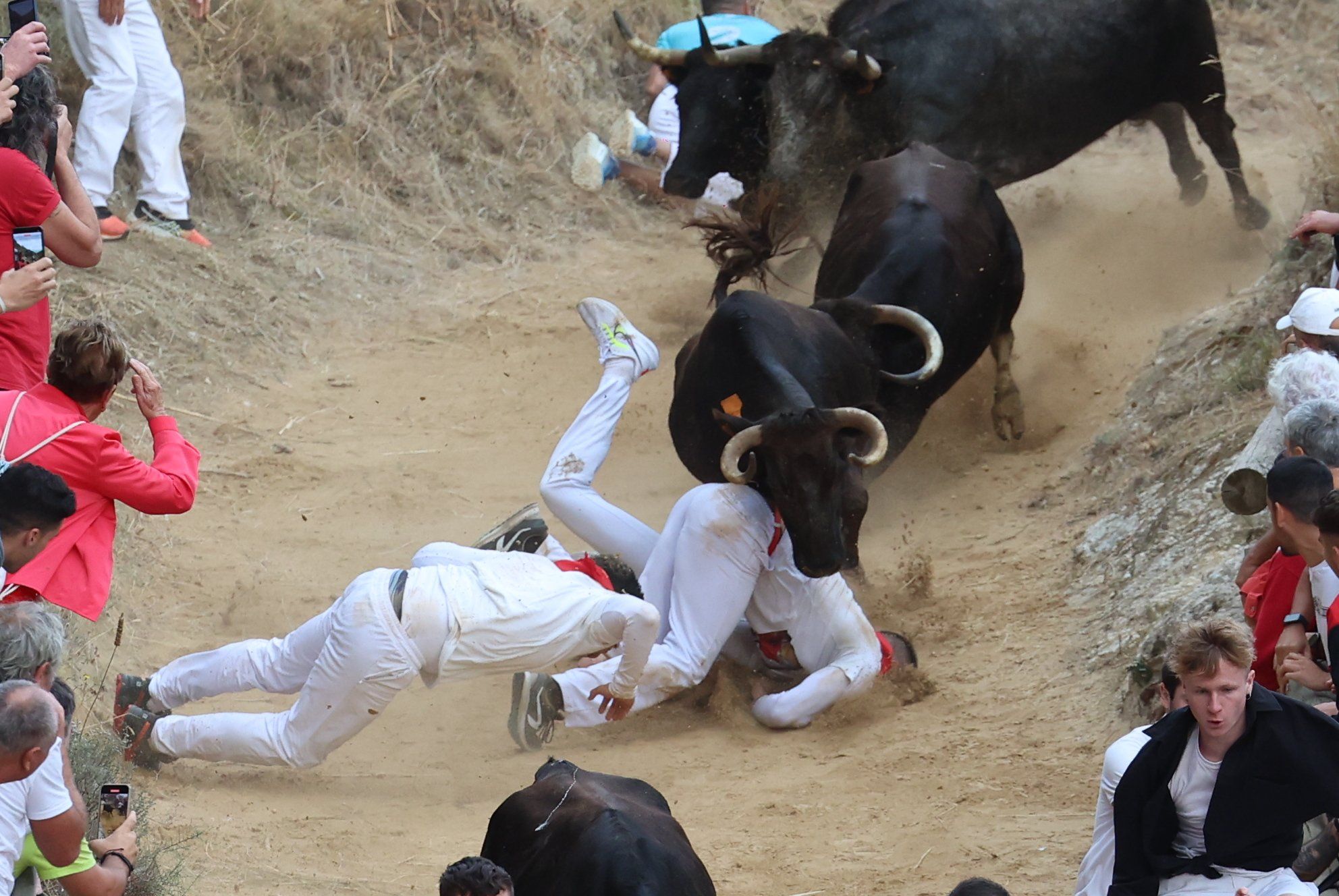 Fotos del tercer encierro del Pilón de Falces 2025