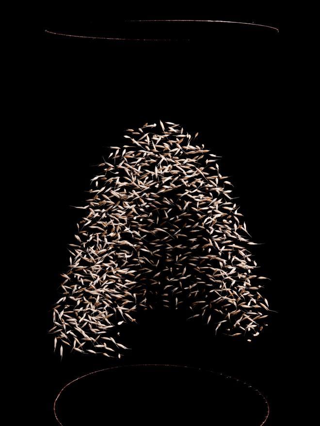 Morada del aire, obra de María Cueto