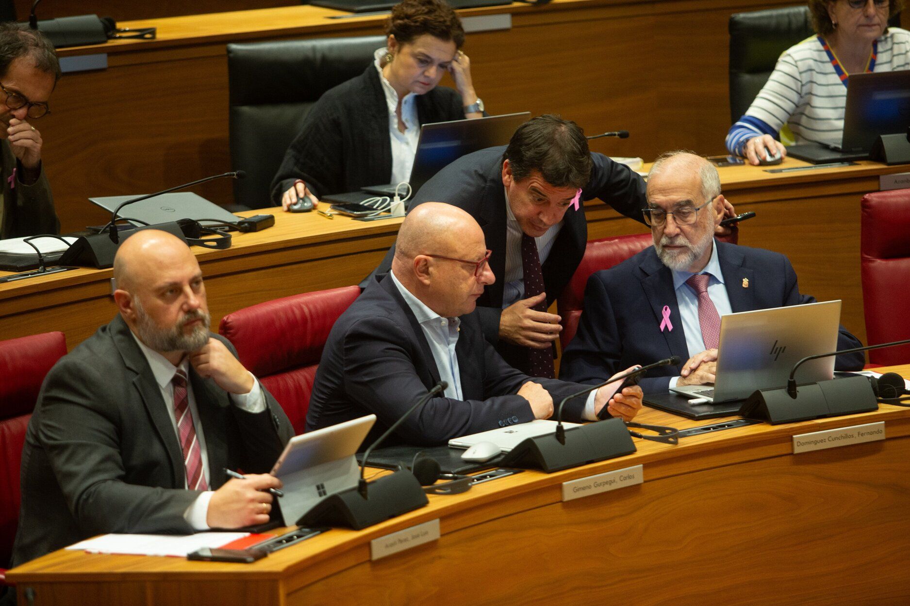 Fotos del pleno del Parlamento de Navarra de este jueves