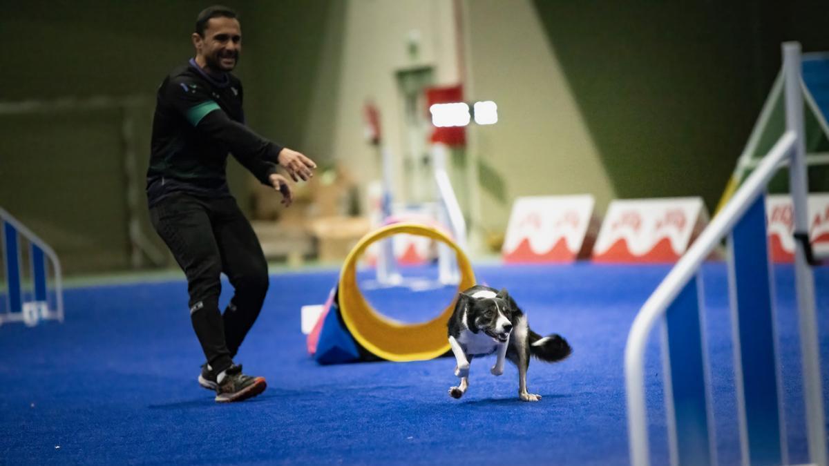 Axular Casado se acaba de proclamar campeón del mundo de agility