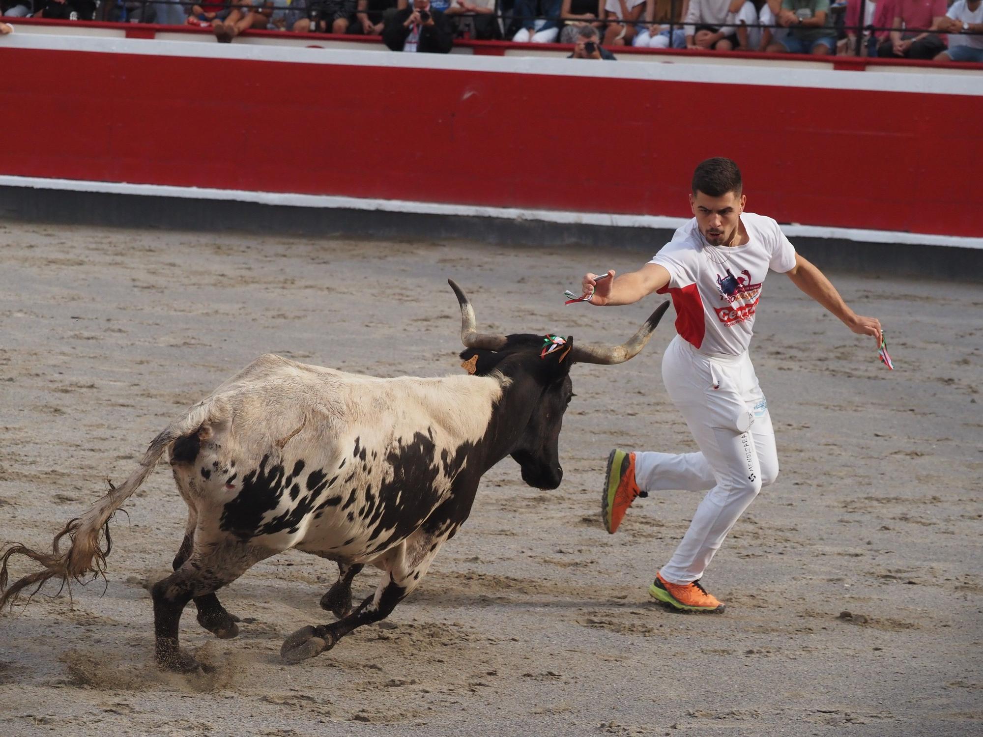 El extremeño Israel Pérez 'Ruso' se estrena con victoria en el Campeonato de Recortadores de Azpeitia