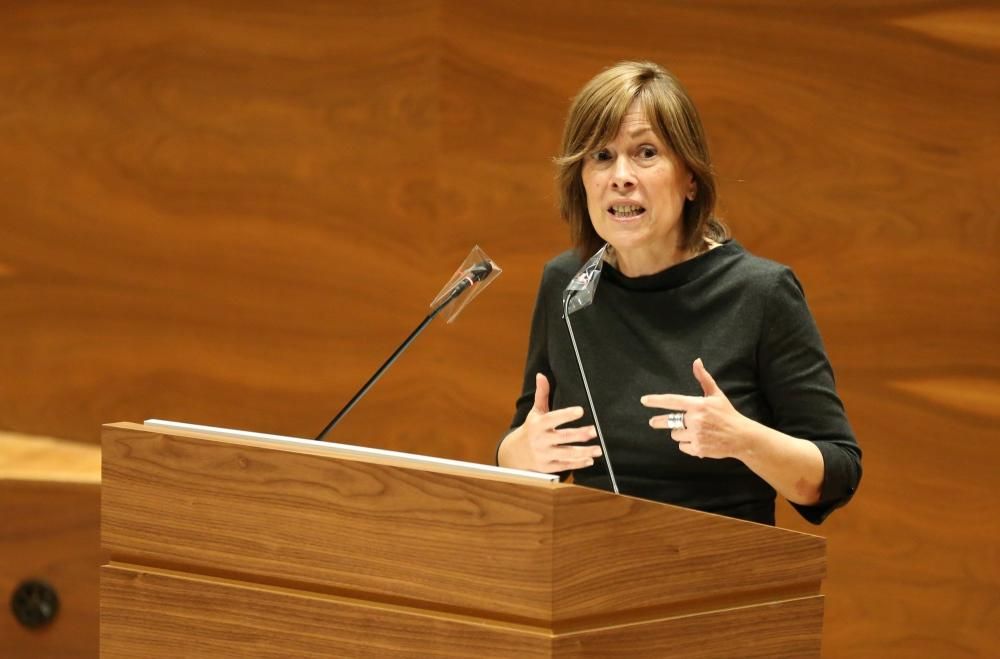 Pleno del Parlamento de Navarra sobre el Covid-19