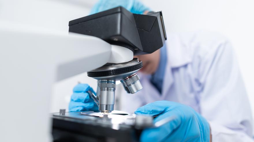 Irudika y Plaiaundi continuarán con el proyecto ONkologia 360º con personas con cáncer durante este nuevo curso