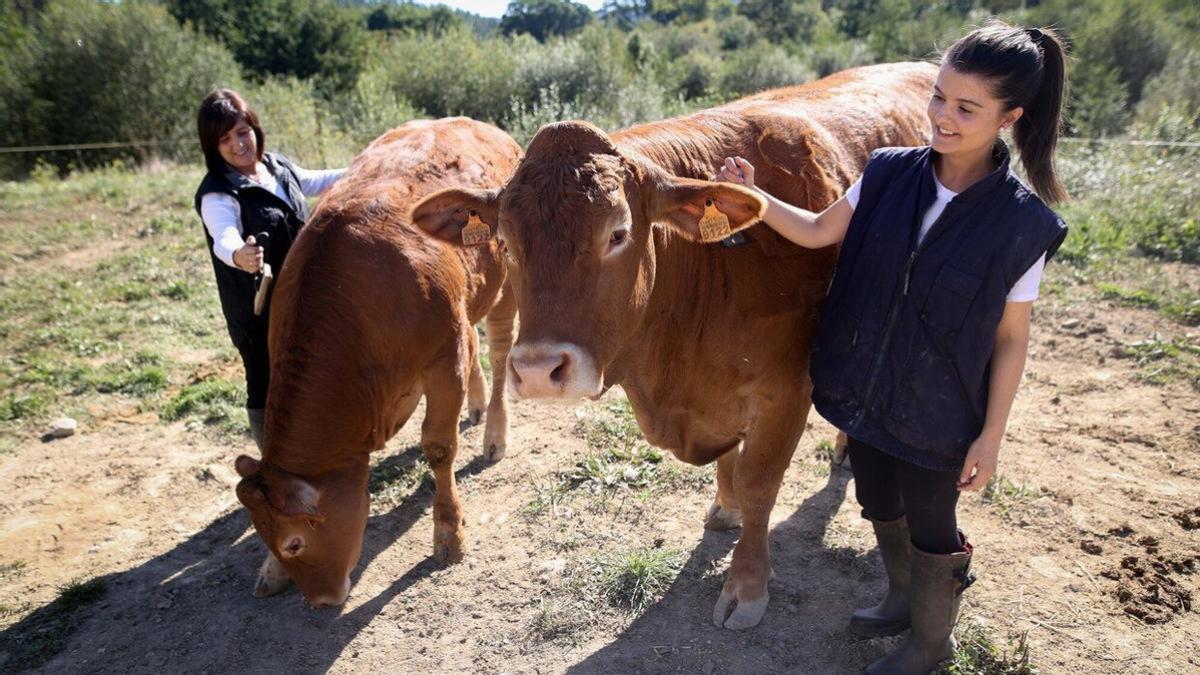 Bizkaia busca dar respuesta al trabajo conjunto con el sector, modernizarlo y procurar su relevo y rentabilidad.