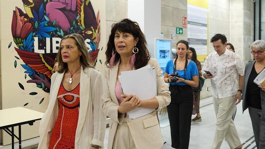 La delegada contra la Violencia de Género comparece en el Congreso por las pulseras antimaltrato