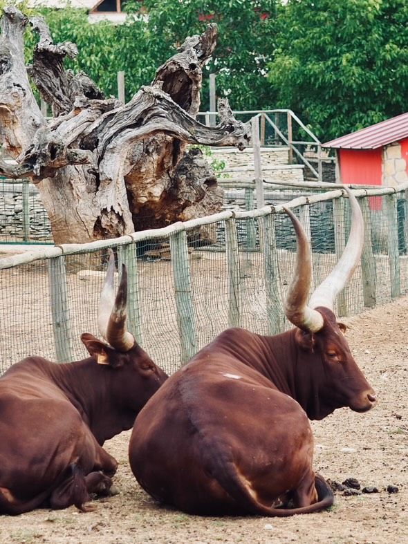 El centro está ubicado en Lezaun.