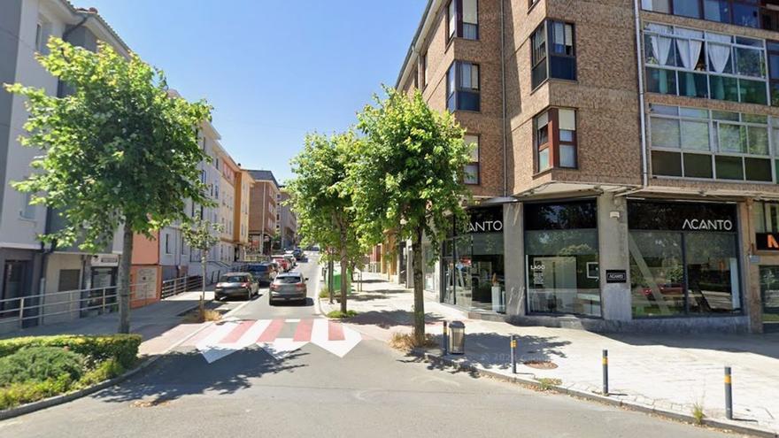 Getxo sustituirá varios arces rojos de Salsidu por tejos