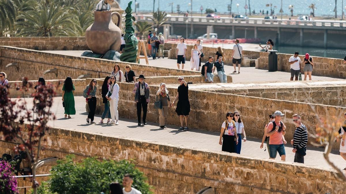 Varios grupos de turistas en Mallorca. Varios grupos de turistas en Mallorca.