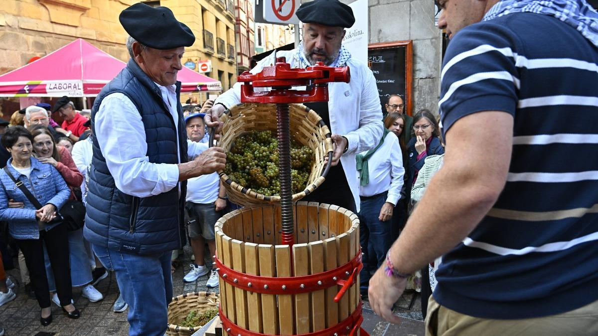 Los txakolineros se preparan para prensar la uva y obtener el primer mosto.