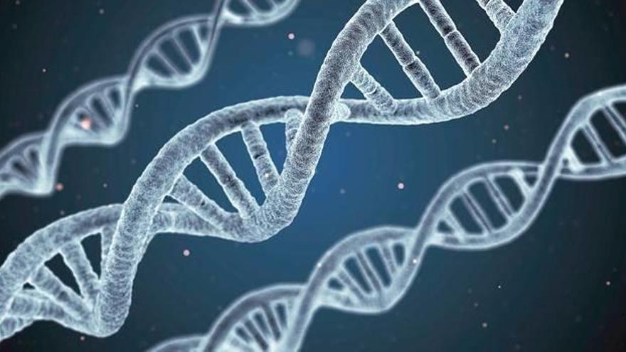 Descifran cómo funciona el genoma de la leucemia más frecuente