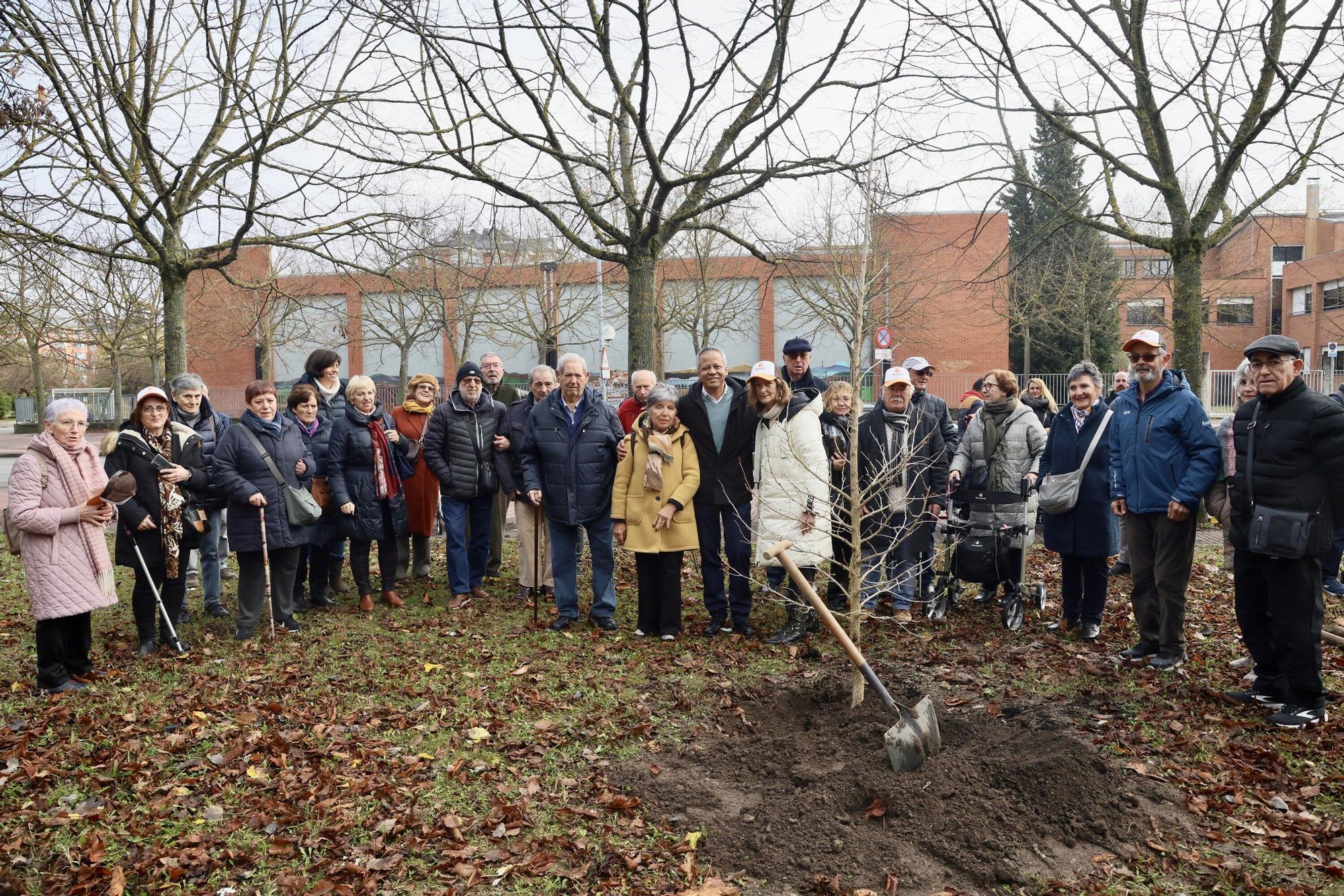 En imágenes: Un árbol para 25 años de lucha contra el párkinson en Vitoria