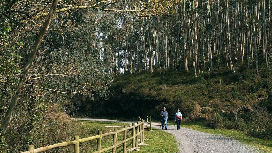 Galdames da a conocer su patrimonio  e identidad en dos visitas guiadas