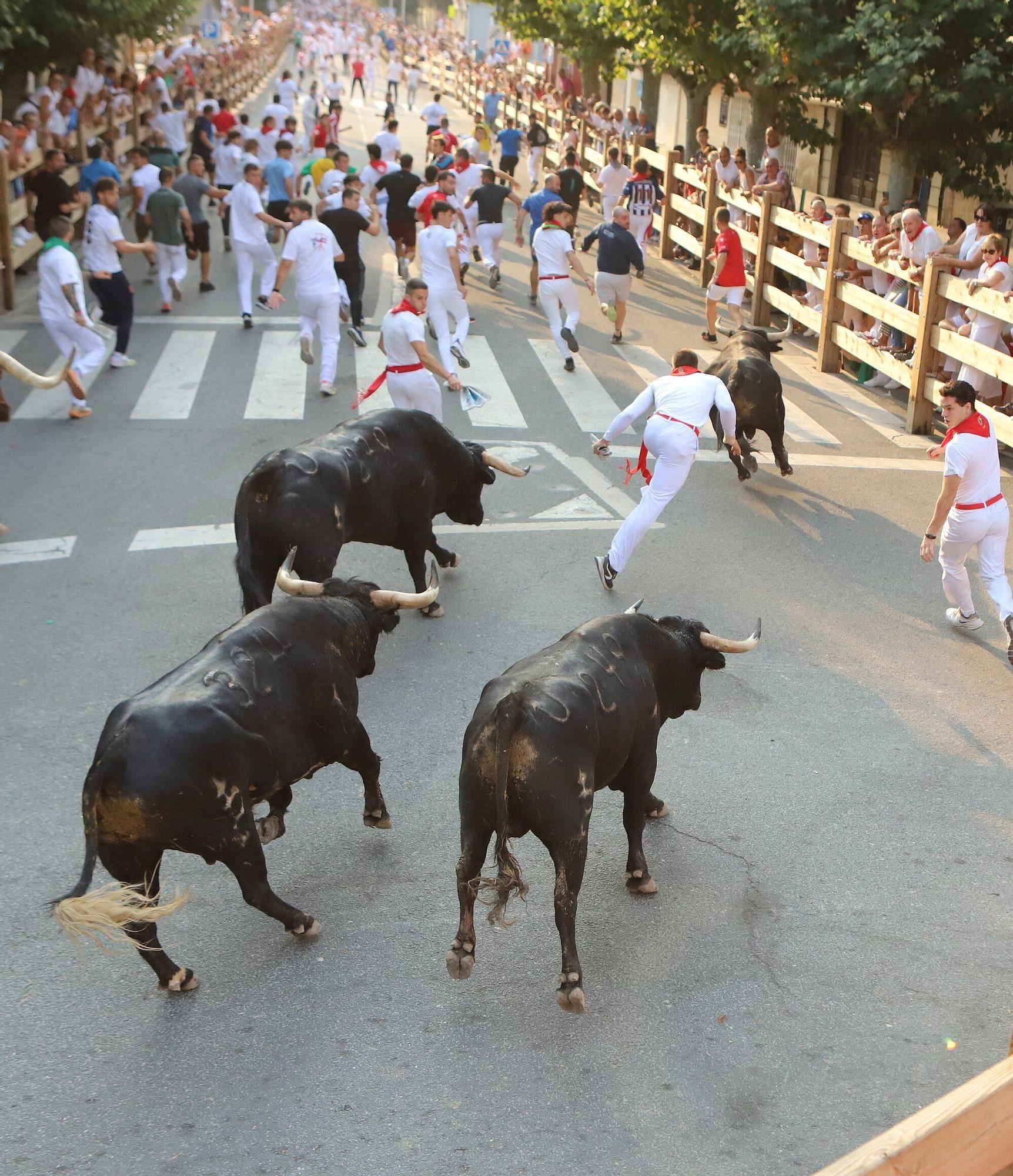 Fotos del segundo encierro de fiestas de Tafalla 2025