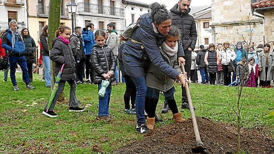 Antes de la presentación se plantó un haya.
