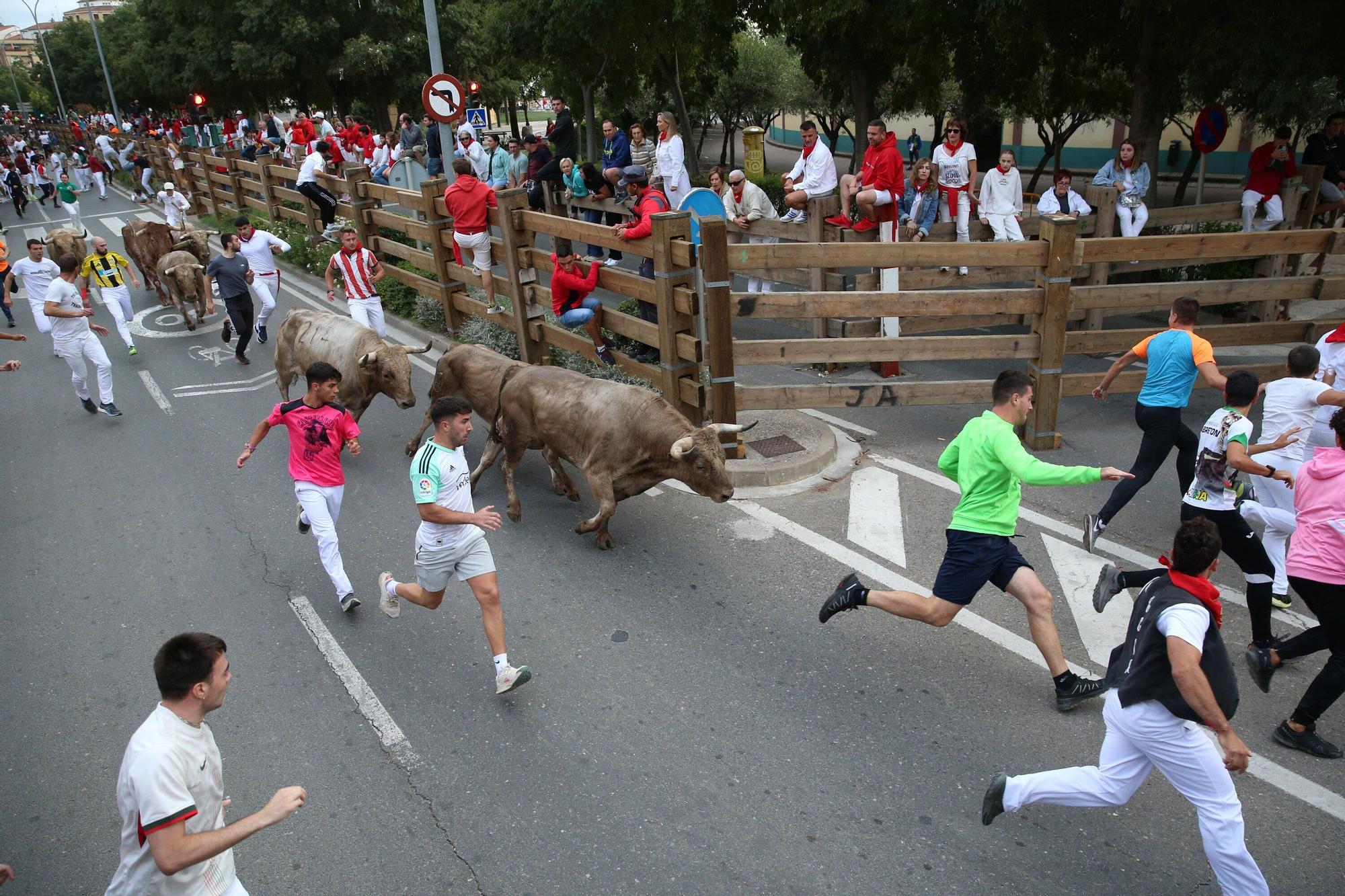Fotos del sexto y último encierro de las fiestas de Tudela 2025