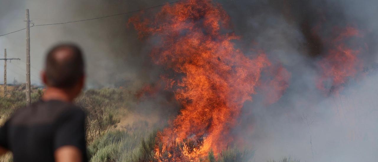 Semana negra de incendios: Cuatro muertos y 120.000 hectáreas quemadas