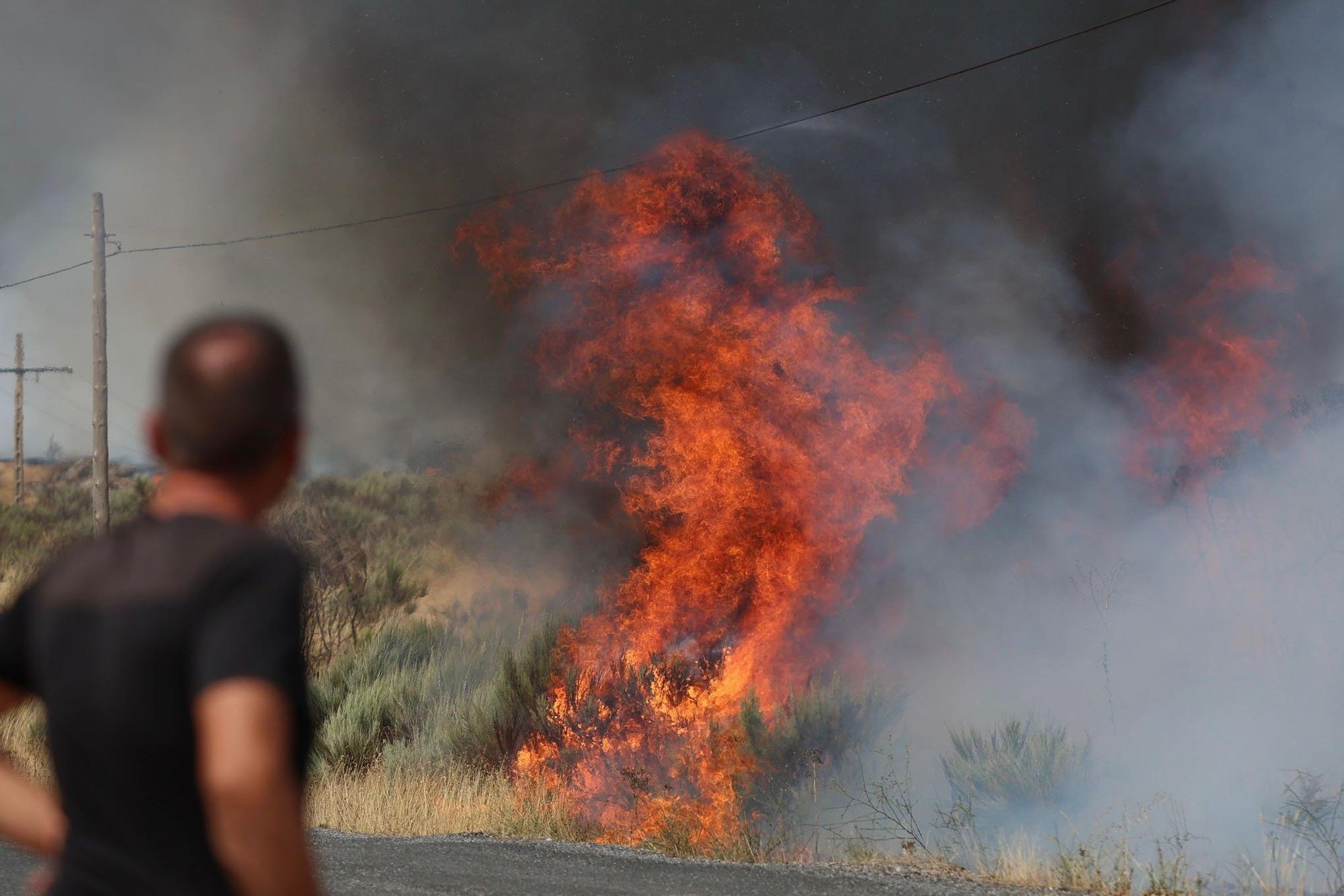 Semana negra de incendios: Cuatro muertos y 120.000 hectáreas quemadas