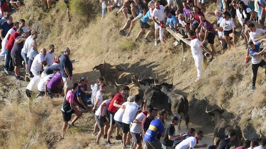 Fotos del tercer encierro del Pilón de fiestas de Falces 2026