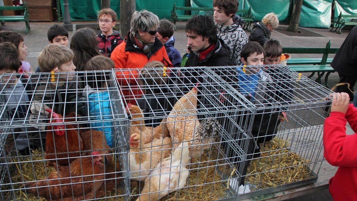 n su XXV edición habrá exposiciones diversas como la de la gallina vasca.