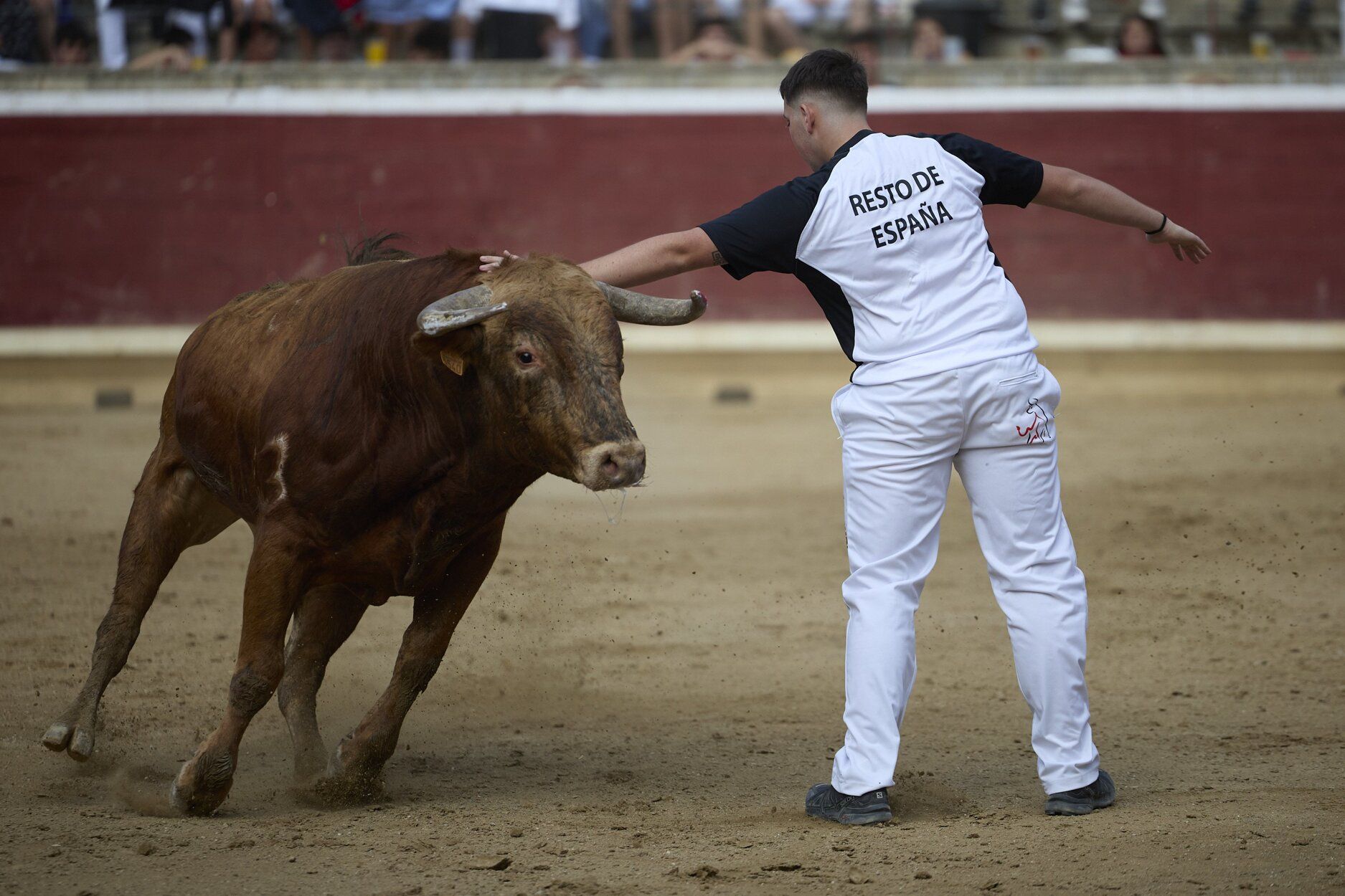 Fotos del concurso de recortadores de fiestas de Tafalla