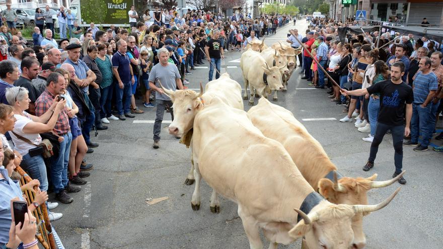 “No habrá ganado pero el resto de la feria de otoño en Elizondo se mantiene como estaba previsto”