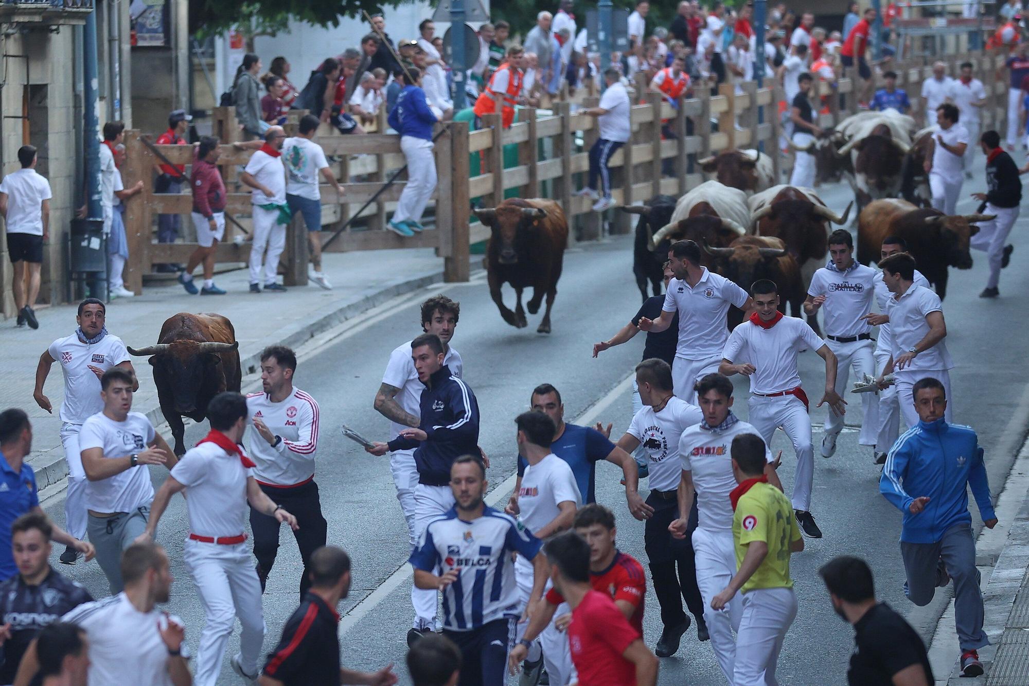 Fotos del quinto encierro de las fiestas de Tafalla 2025