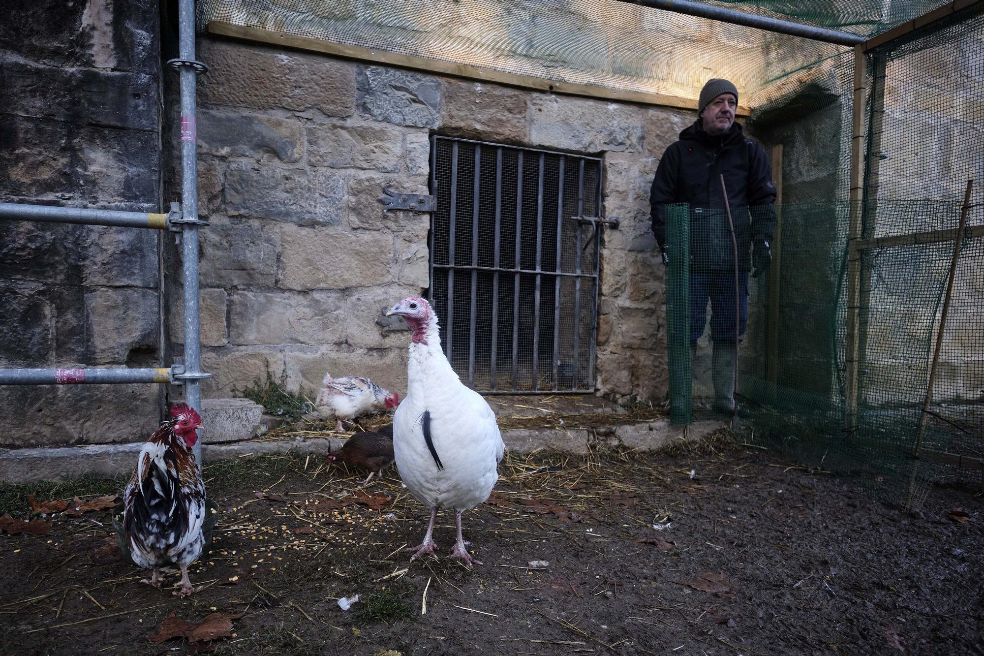 Las medidas contra la gripe aviar en la Taconera de Pamplona