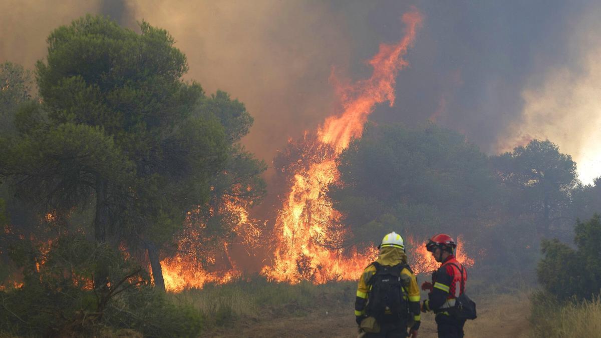 Incendio forestal cerca de Carcastillo