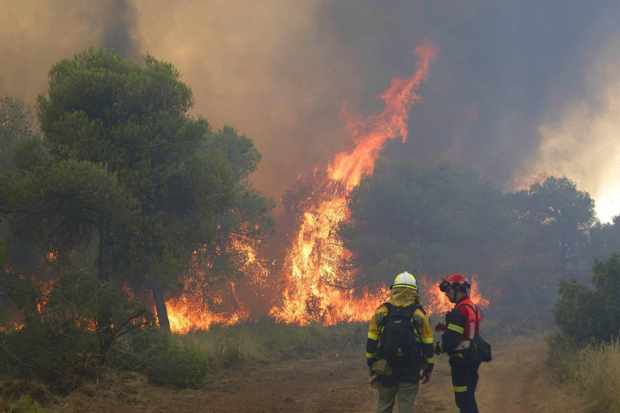 Fotos del incendio forestal cerca de Carcastillo