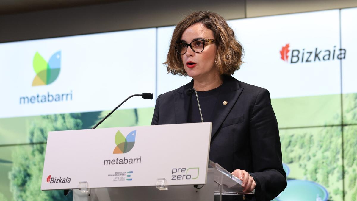 La diputada general de Bizkaia, Elixabete Etxanobe