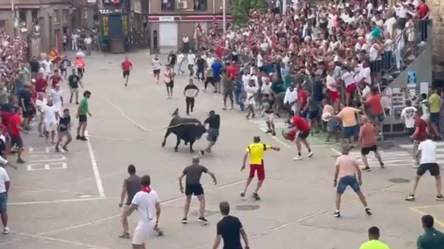 Vídeo | Susto en la salida del toro con soga de este viernes en Lodosa
