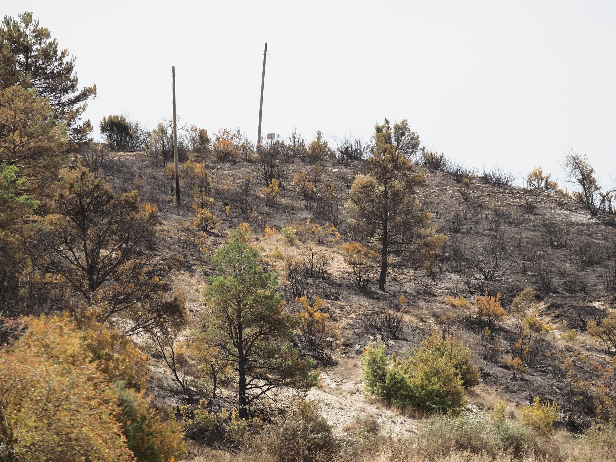 Fotos de las labores de extinción del incendio en Urraúl Alto, Urrulgaine