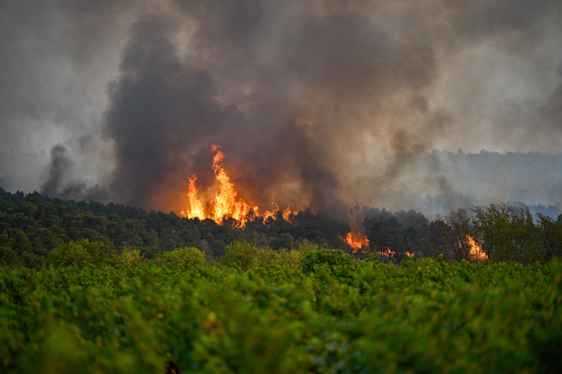 Francia lucha contra uno de los peores incendios en medio siglo