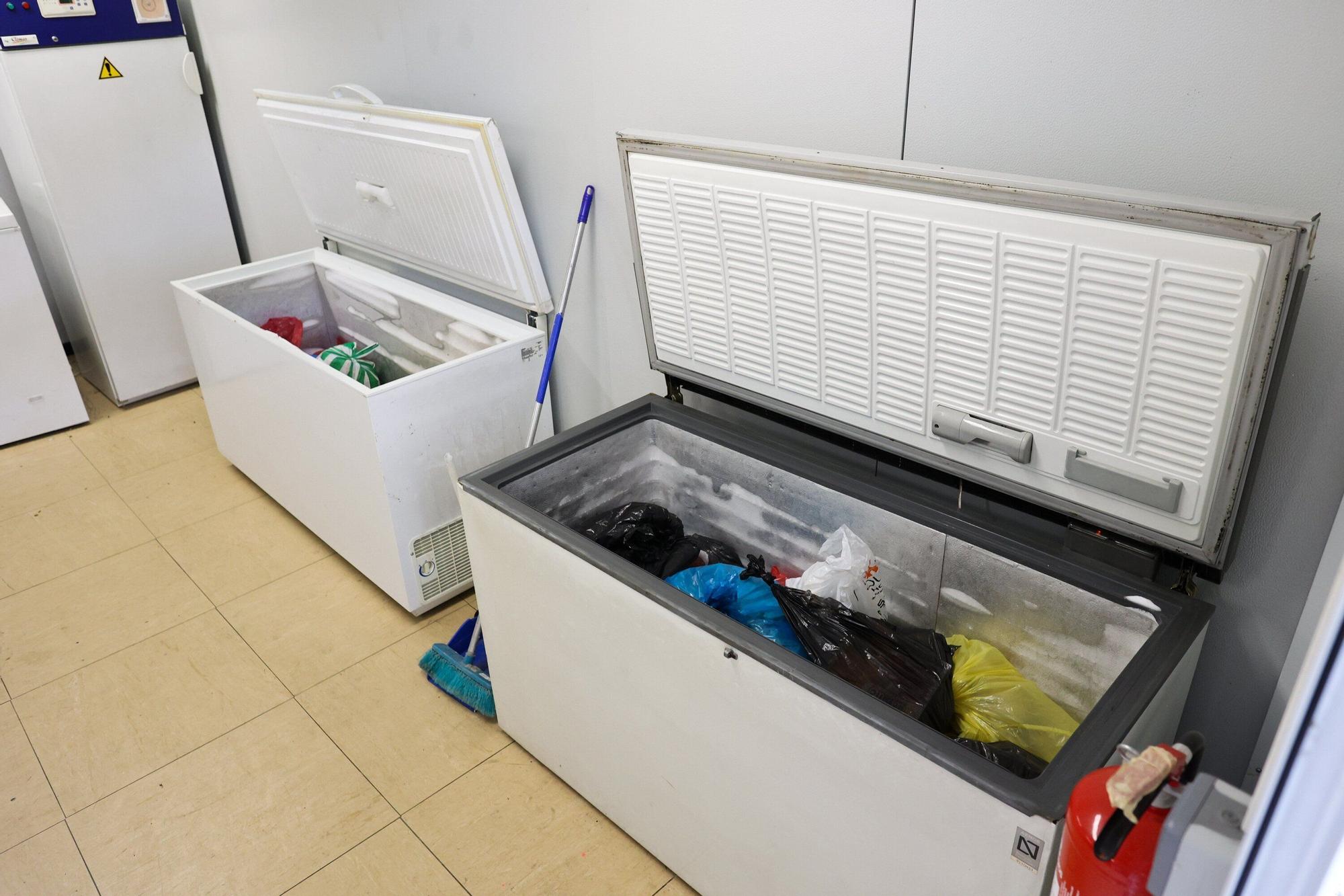 En imágenes: Aduanas, el filtro silencioso en el aeropuerto de Bilbao