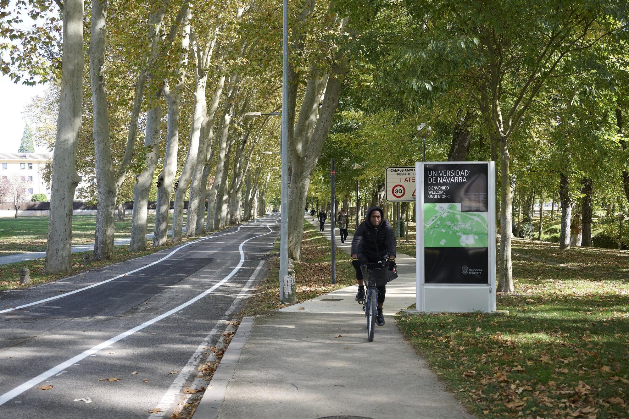 Fotos de las líneas serpenteantes de la carretera de la Universidad de Navarra