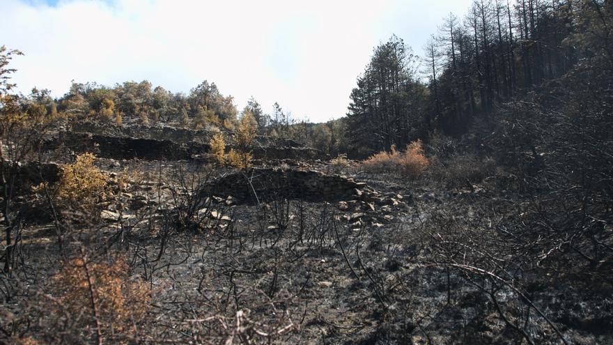Incendios en Navarra: mapas de la superficie quemada en los 6 fuegos
