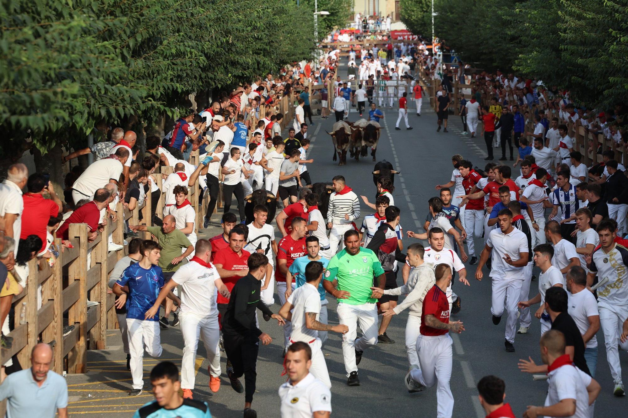 Fotos del cuarto encierro de fiestas de Tafalla 2025