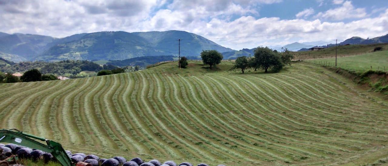 La generación ni-ni