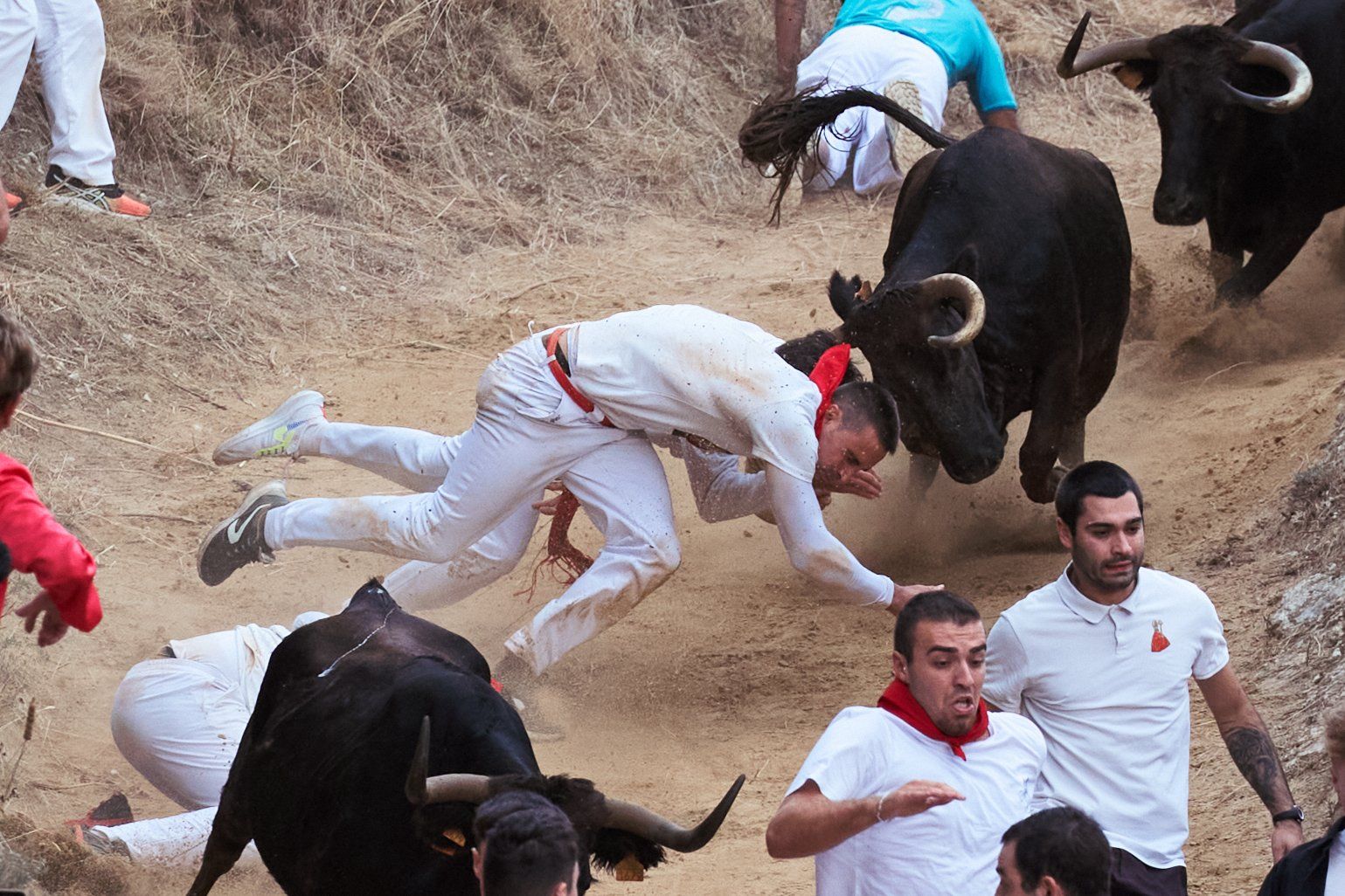 Fotos del tercer encierro del Pilón de Falces 2025